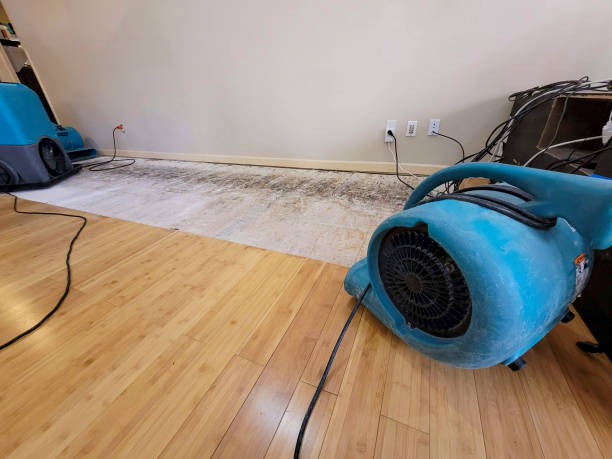 Professional Water Extraction technician working in Hampton, VA